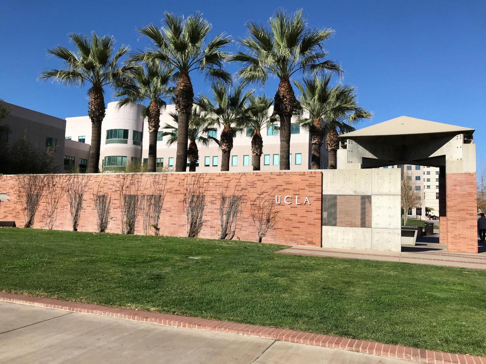 Brilliant Apartment Walk Distance to UCLA O9